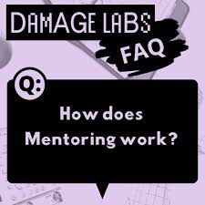 Damage Labs mentoring FAQ